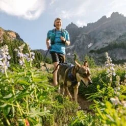 Ruffwear Geschirr Front Range Royal S -Wuff Welt e15197d6b811d617809f68f33d8a3e65d6aeaca9 b4ff373a643a06cdf020cbcf677cbfa6d9fa075f