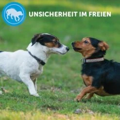 ADAPTIL Calm Halsband Anti Stress Erziehungshalsband S-M -Wuff Welt e220fc002f83144152ad7157c15120ad2d9d8471 1204441 8