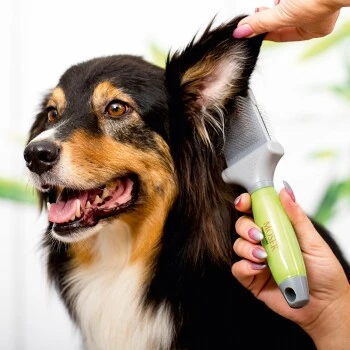 Moser Flexible Zupfbürste - Zweiseitig 2 Moser Flexible Zupfbürste - Zweiseitig – Bild 2