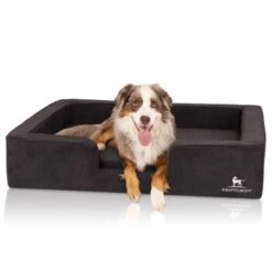 Knuffelwuff Orthopädisches Hundebett Mit Wendekissen Aus Velours Bellamy Schwarz M-L -Wuff Welt e3b7bc46ae320ad688559fbe65b93d653050af29 1412229 de DE a8fed7047a4b2b7c518b9afe1b1b115d3d9d2c8emVyF8X