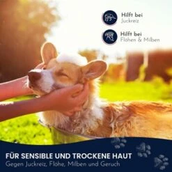 Pawlie's Sensitiv Hundeshampoo Für Hunde -Wuff Welt e89fe06ff66f08049212bfc10adc10153aeb63cf 1626194 de DE 4976fc58bb1aa66ec74bbce2250fc22a134be1c3oYKgL0
