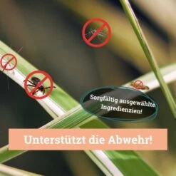 BeG Buddy Fellspray Zecke 11 BeG Buddy Fellspray Zecke -Wuff Welt eb1ff1dcbcf1fb99bdfd79e45920199bae4b6f63 1457254 de DE 287d7d393bbc4424a21afe4f14bbe46350e68dd0MNLxrc