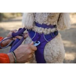 Ruffwear Front Range™ Leine Violett -Wuff Welt eb2f9759d53ffaaebfe530ff03ce98c7a48a56d1 1651455 de DE 2df17f72915d6716e32ef884f8fc79995debc11eCsj6N1