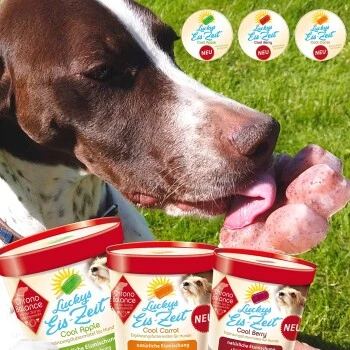 ChronoBalance Hundeeis Zum Selbermachen 3 Sorten 2 ChronoBalance Hundeeis Zum Selbermachen 3 Sorten – Bild 2