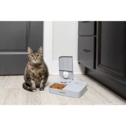 PetSafe Futterautomat Für 2 Mahlzeiten -Wuff Welt ecfa45428902a757dc7016a44357eeb1f8b25a89 1343837 6