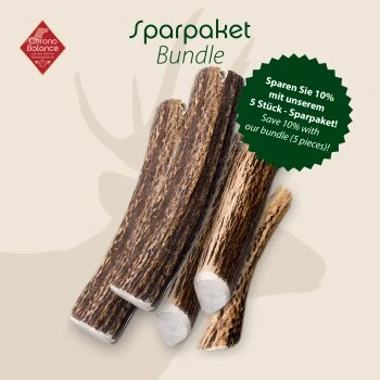 ChronoBalance Rothirsch Geweihstange Ganze Und Runde Stücke 300 G 2 ChronoBalance Rothirsch Geweihstange Ganze Und Runde Stücke 300 G – Bild 2