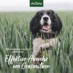 Aniforte Grasmilben-EX Spray Für Hunde 500ml -Wuff Welt f1681a58b880d49267b5877e09c99fc6406a033b 1655910 de DE e3905507b4127feea49671bfd5a4aadf45361666Vq4xRH