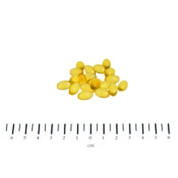 Canina PETVITAL Derm-Kapseln 40g 2 Canina PETVITAL Derm-Kapseln 40g – Bild 2