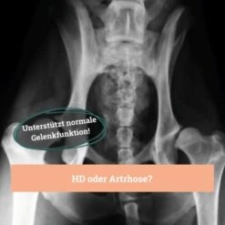 BeG Buddy Gelenk Fit Tabletten -Wuff Welt f4b9d51f2e78d12f2ca2a2fe6ae9f754ebede26e 1457251 de DE d18aefeba3109b170fc6ce5df4353512cf27c799DQ6Cd3