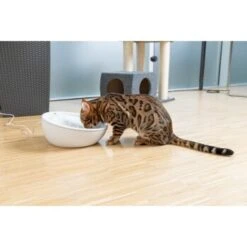 AniOne Keramik-Trinkbrunnen Waterfall Weiß Ohne Ersatzfilter -Wuff Welt f5666e2f535275128e81462f19991e450c3d3f87 c66954489332ac4ff326811e24559ef9b2854fac