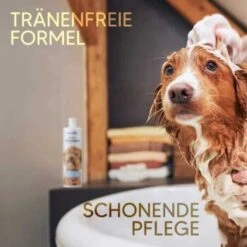 Pawlie's Welpenshampoo -Wuff Welt f56801adb1bee6d0b5fdd328d641fa773ce5d4c4 1626204 de DE 7b87b87a2e48e8c0e12b98c918c4d75b538aae40E5TfEc