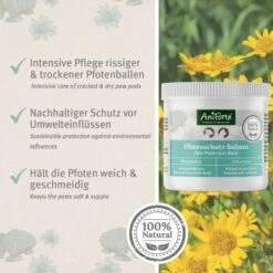 Aniforte Pfotenschutz Balsam 120ml Sommer & Winter -Wuff Welt f6352728d2d295839a5f9bac2123e02ea5cfd66d 1480491 de DE b4b6382b0452d366b3ffc33798d9e5be379c6ee9yrOk4E