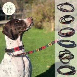 Kipita Polo Hundeleine Classic -Wuff Welt f86aae5f01ccb0fa2be4e64b3698130c3af93e02 1410955 de DE 0bc8d688bd07984d484eea2e3dc3f790086fea45s1x5Vw