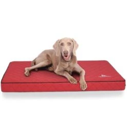 Knuffelwuff Orthopädische Hundematte Juna Aus Laser-gestepptem Kunstleder Rot L -Wuff Welt f8b9acde67bbc991a3791bba8cbd6c17097f2504 1411845 de DE 72b49e96d0fc008afacc20cc3236e69e758dd290NyBtW7