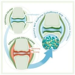 Aniforte CollaMove Kollagen Dog 250 G -Wuff Welt fbf5a9dc08423de08f5c9740ea99fa2e524d47dc 1457284 de DE 93f83ccbd87110a8284ed4e38cb6148f2a1dc492cVu2P6