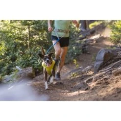 Ruffwear Trail Runner™ Leine -Wuff Welt fd7d3d8f2faefaea1b25b1fb658e0a571fc3fec8 1651448 de DE 059aee675e2089a3f3904e6bcb227b6b71f8e4a2YMTgrx