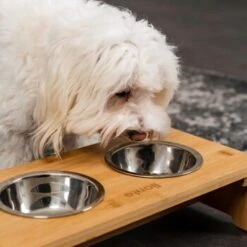 Lionto Erhöhte Futterstation Aus Bambus Braun/ Silber S -Wuff Welt ff2eba128a0d6b75a70cc824dc213b8dd85d734a 1665921 de DE e23b5a688ebe67bbe1f23e079b16083d61ef18cdlFh9kV